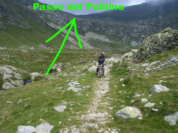 Publino.jpg